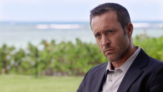 Image Hawaii Five-0 5