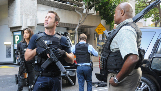 Image Hawaii Five-0 24