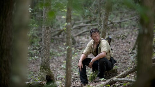 Image The Walking Dead 3