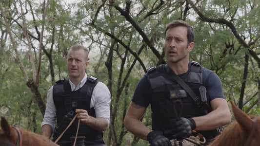 Image Hawaii Five-0 19