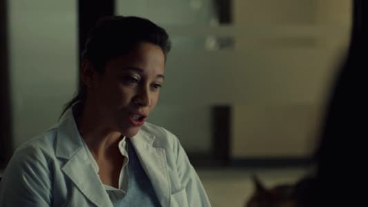 Image Hudson & Rex 2