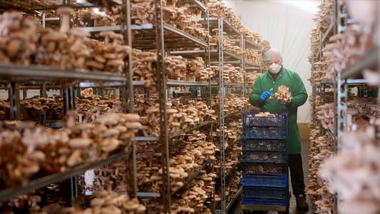 Image You Are What You Eat: A Twin Experiment 4