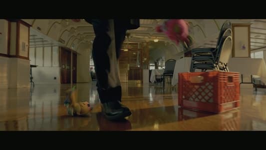 Image Ollie está perdido 2