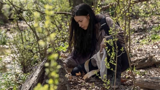 Image The Walking Dead 3