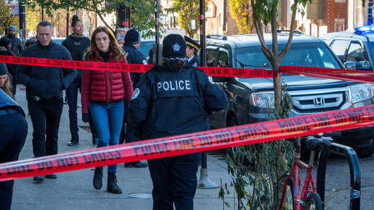 Image Chicago P.D. 11