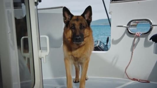 Image Hudson & Rex 2