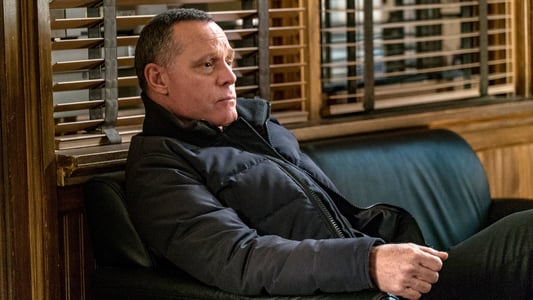 Image Chicago P.D. 20