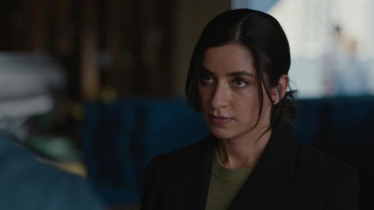 Image Allegiance (2024) 2