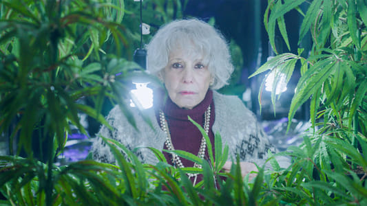 Image Negocio De Familia 5