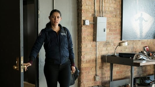 Image Chicago Fire 23