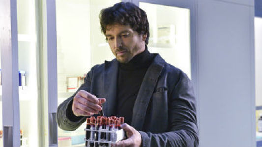 Image La Bella y Bestia (Beauty and the Beast) 11