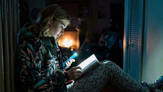 Image Mare of Easttown 5