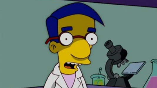 Image Los Simpsons 11