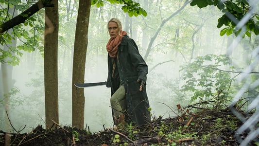 Image Van Helsing 12