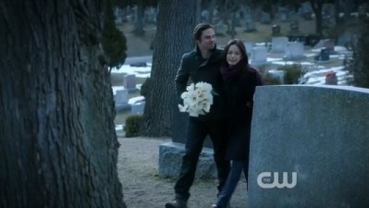 Image La Bella y Bestia (Beauty and the Beast) 20