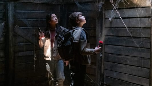 Image The Hardy Boys 11