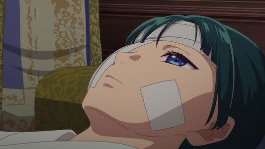 Image Los diarios de la boticaria 20