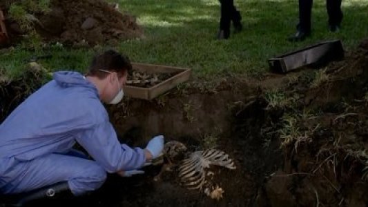 Image Mentes Criminales (Criminal Minds) 9