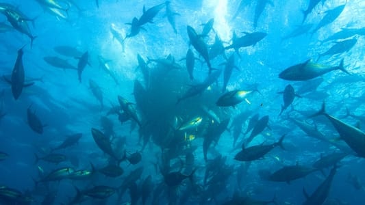 Image Epic Adventures with Bertie Gregory 2