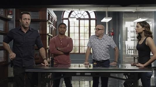 Image Hawaii Five-0 19