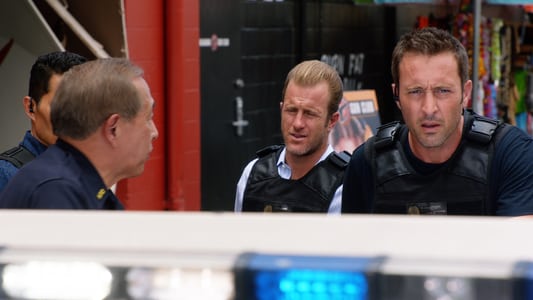 Image Hawaii Five-0 5