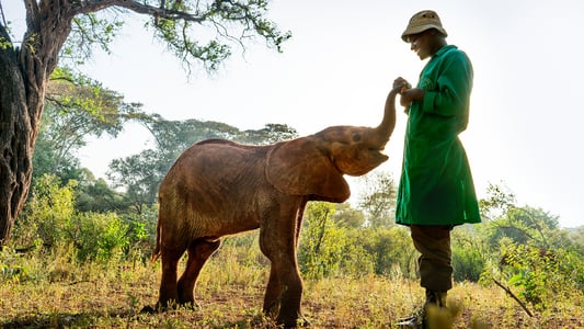 Image Un planeta perfecto 5